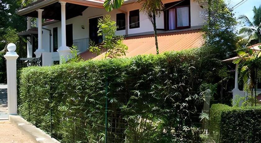 The Mgs Hotel Elpitiya  Dış mekan fotoğraf